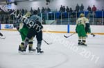 V Hockey 310