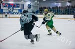 V Hockey 321