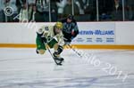V Hockey 342