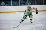V Hockey 357