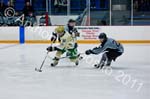 V Hockey 365