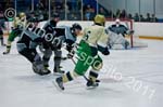 V Hockey 366