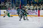 V Hockey 369