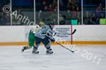 V Hockey 371
