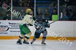 V Hockey 381