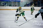 V Hockey 385