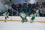 V Hockey 407