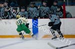 V Hockey 413