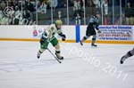 V Hockey 420
