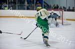 V Hockey 450