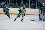 V Hockey 455