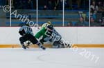 V Hockey 481